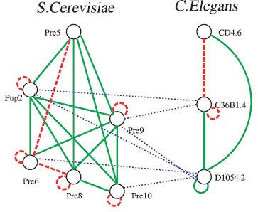 Comparative Network Analysis