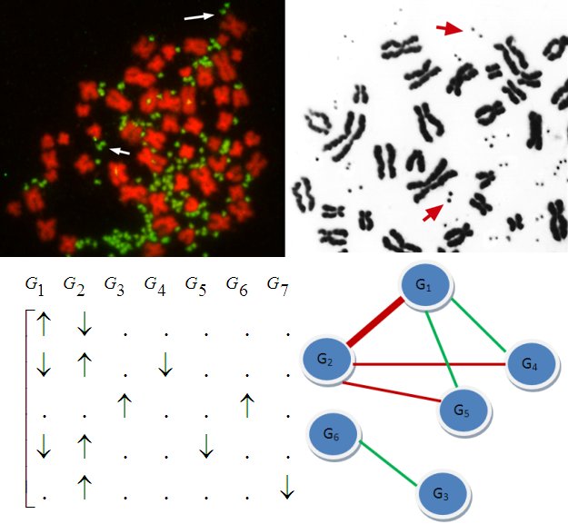 Copy Number Variation